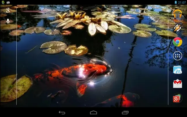 Koi Fish in the Pond android App screenshot 0