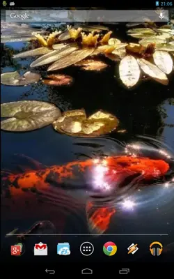 Koi Fish in the Pond android App screenshot 3